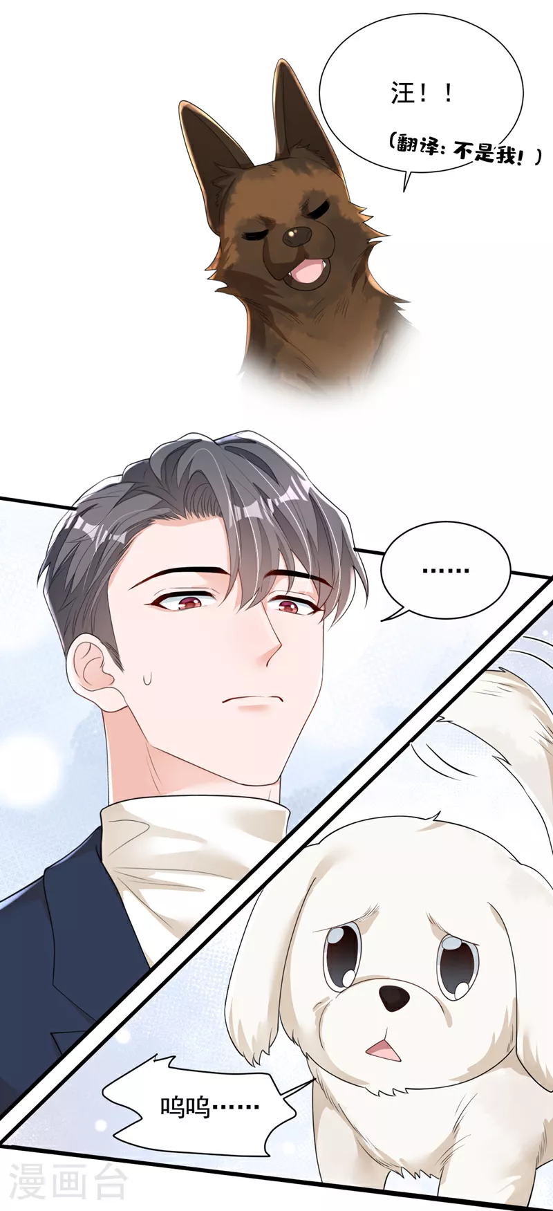 第167话 谁能抗拒毛绒绒呢9