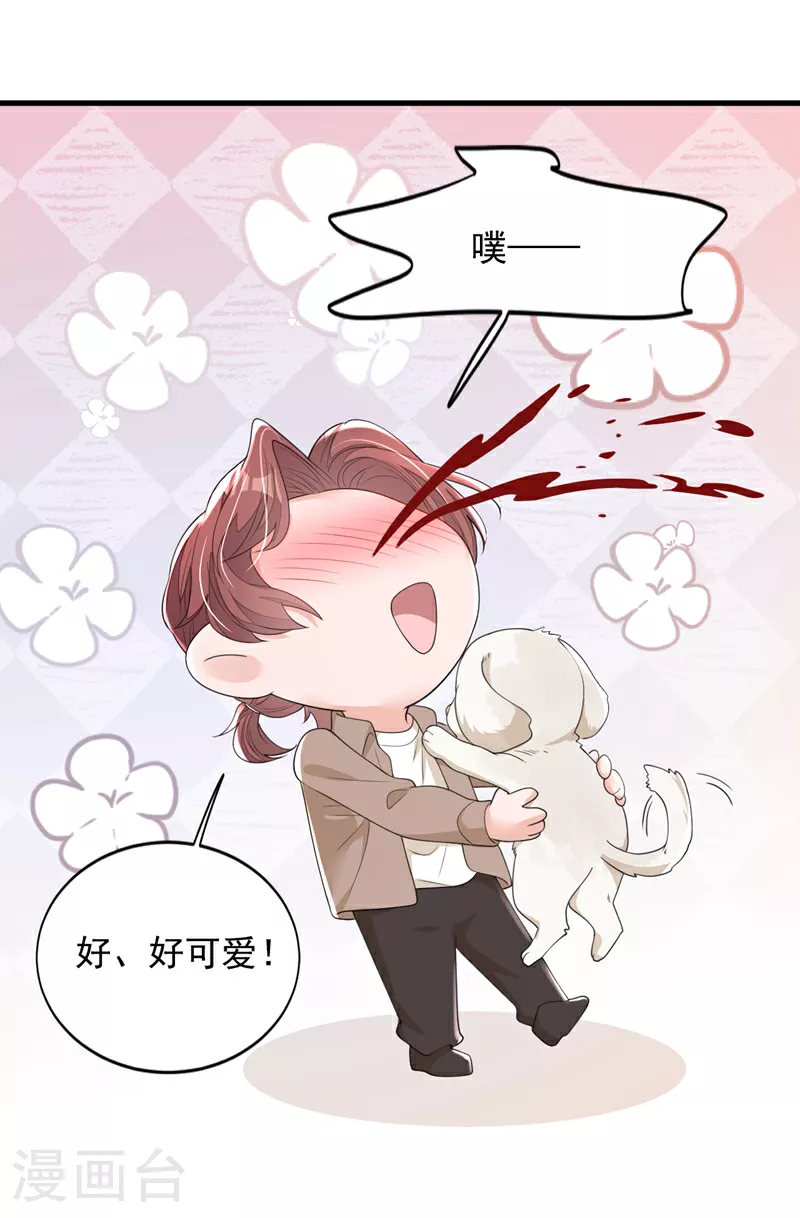 第167话 谁能抗拒毛绒绒呢13