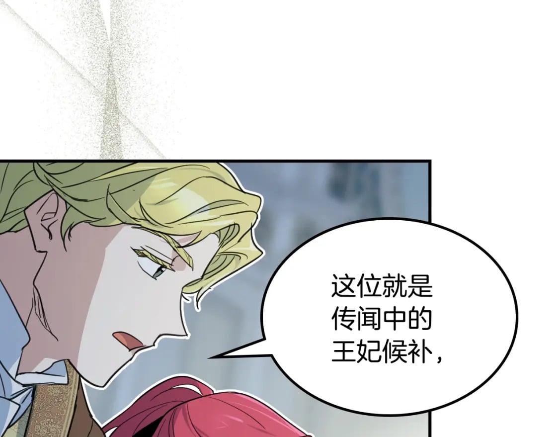 第119话 王妃候补154