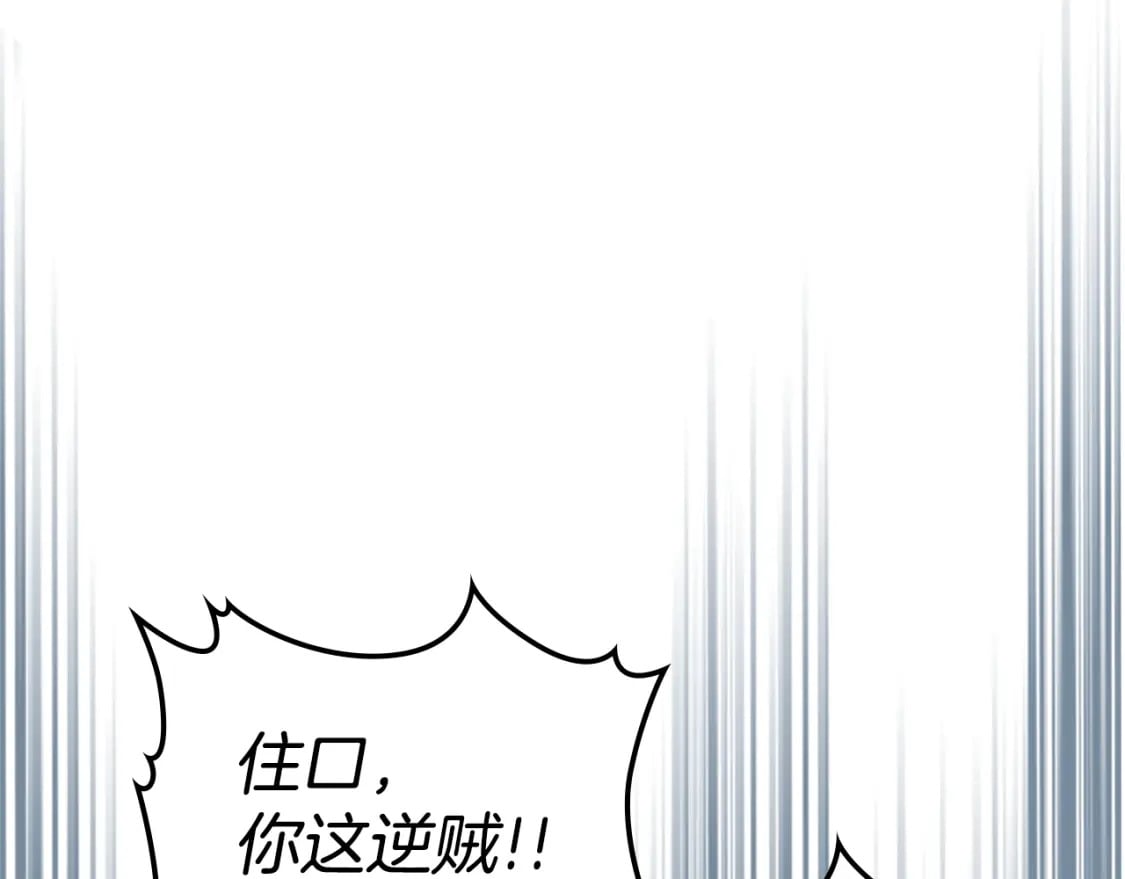 第128话 沦为逆贼123