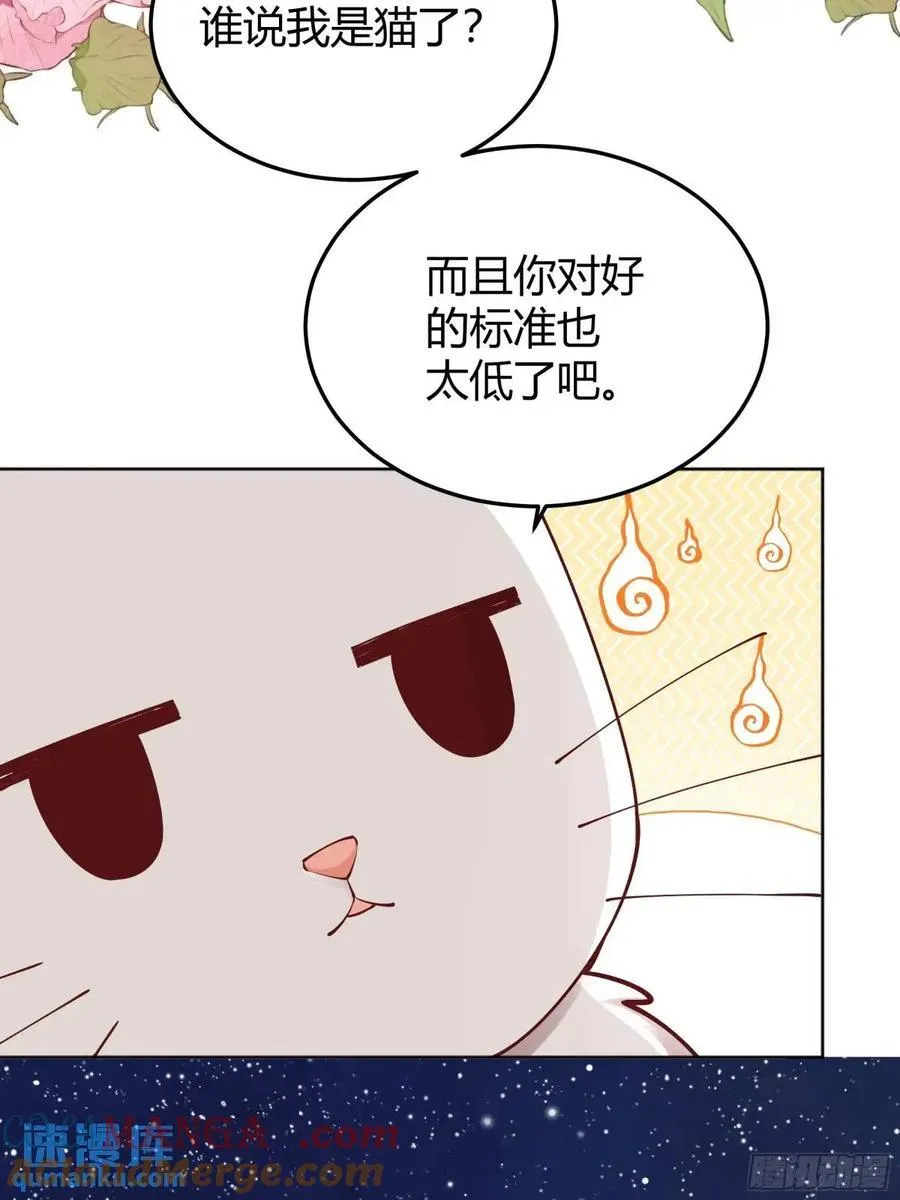99 091猫33