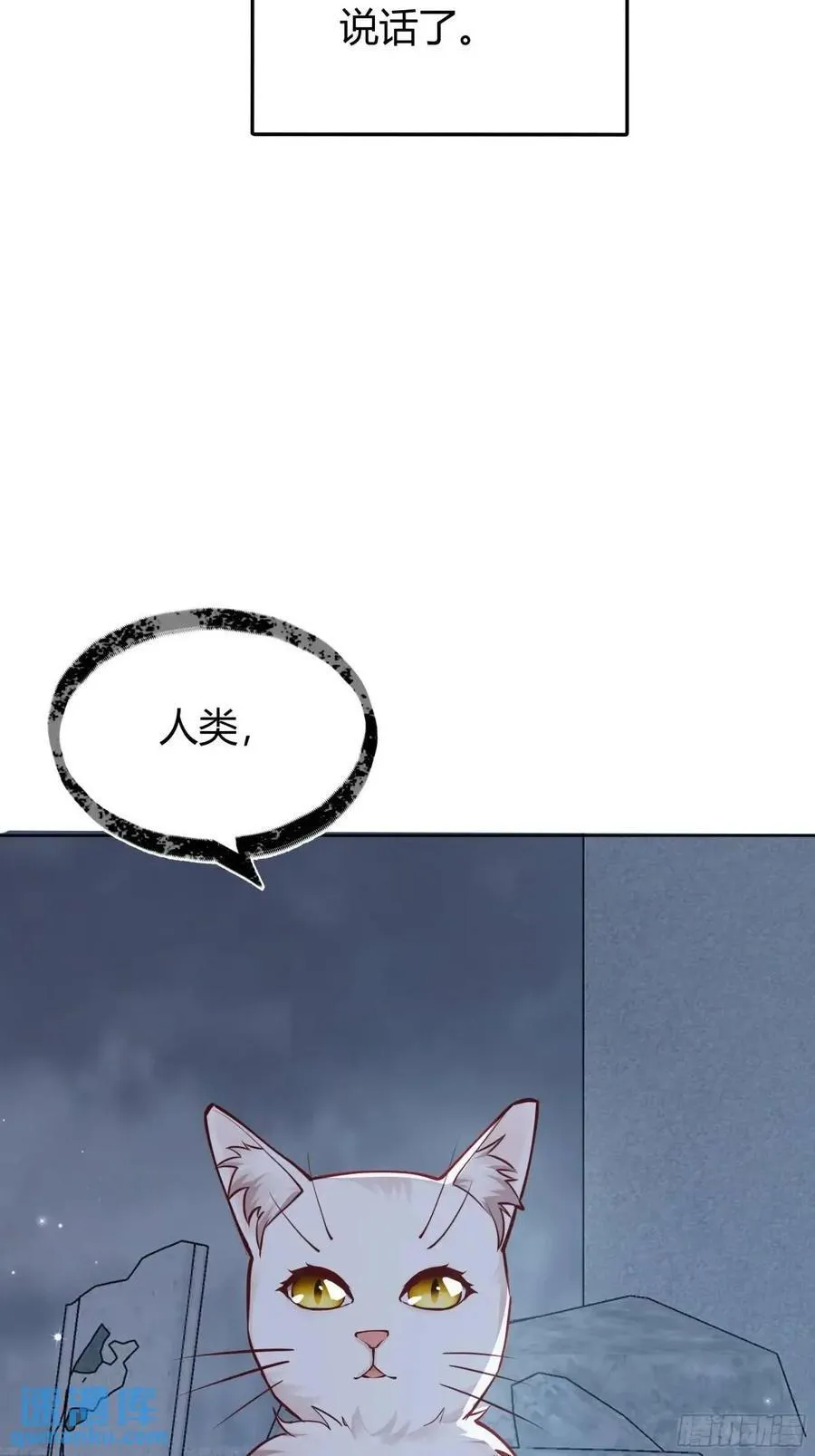 99 091猫26
