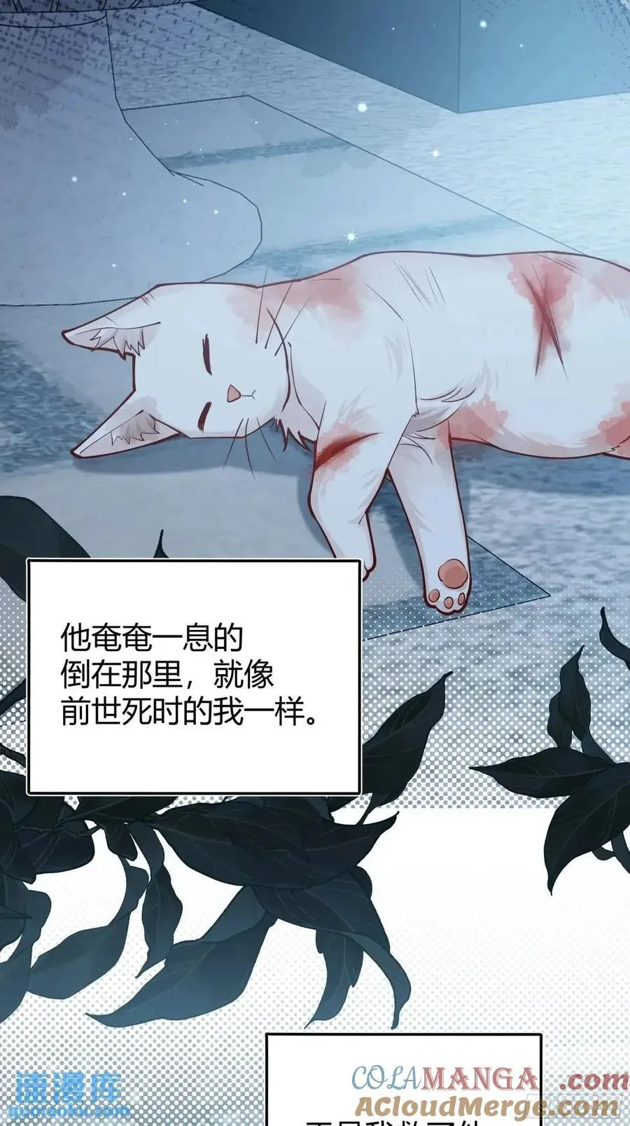 99 091猫24