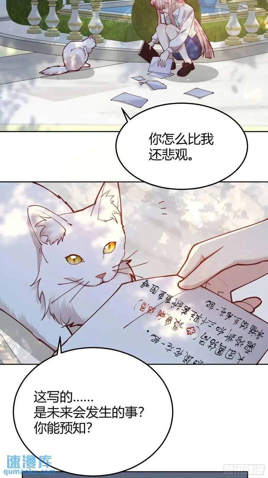 99 091猫44
