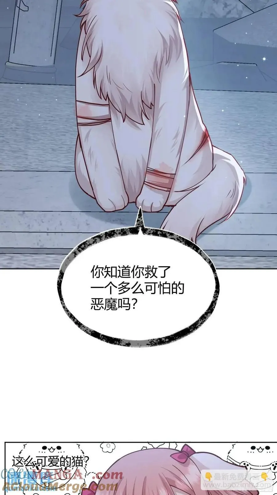 99 091猫27