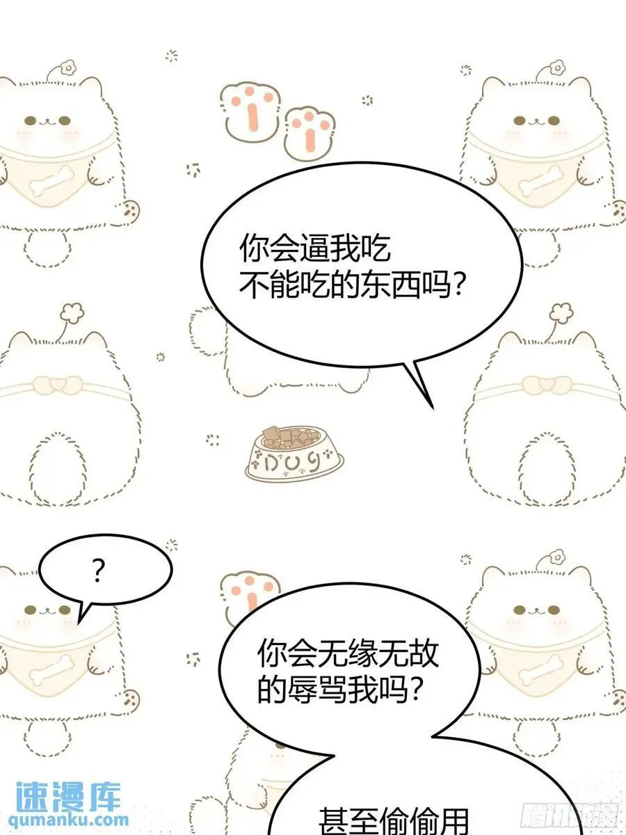 99 091猫29