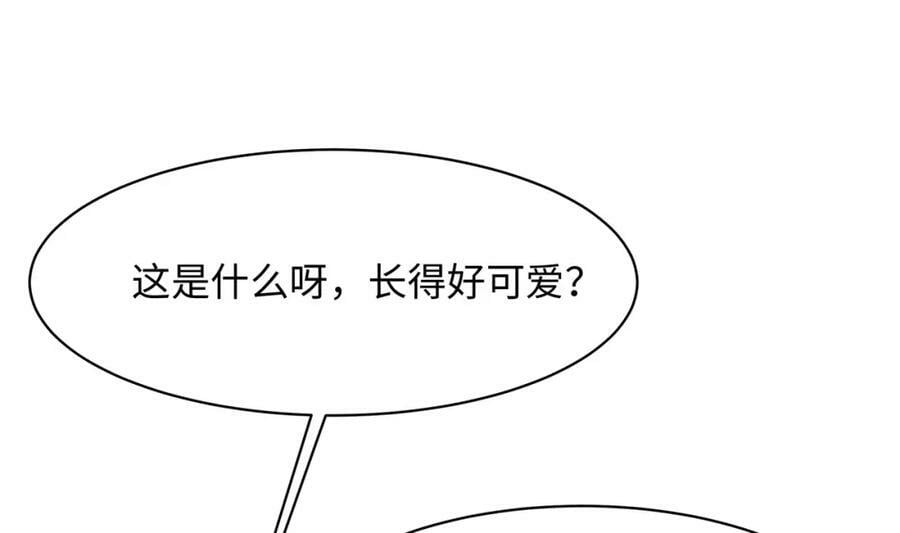 第146话 上岛42