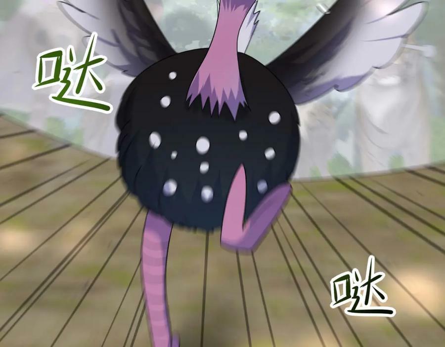 第146话 上岛85