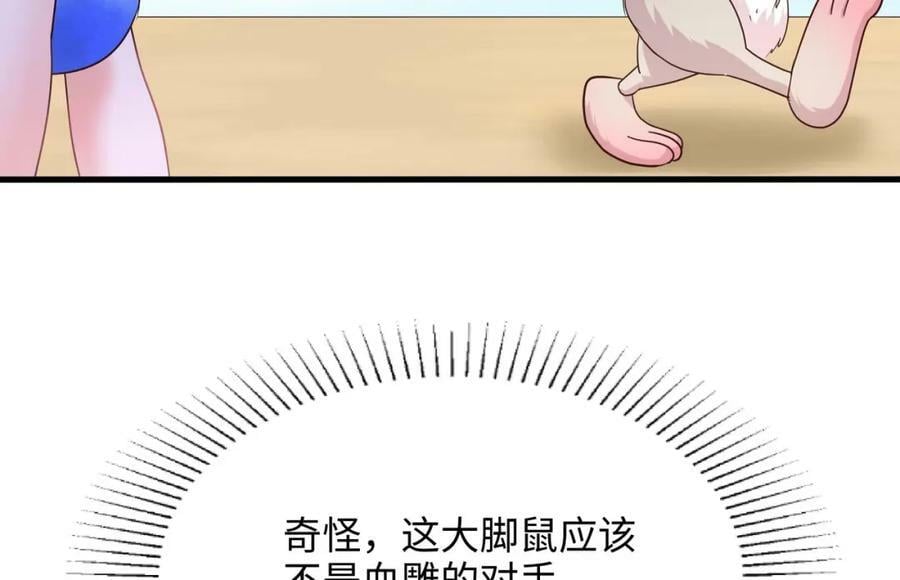 第146话 上岛57
