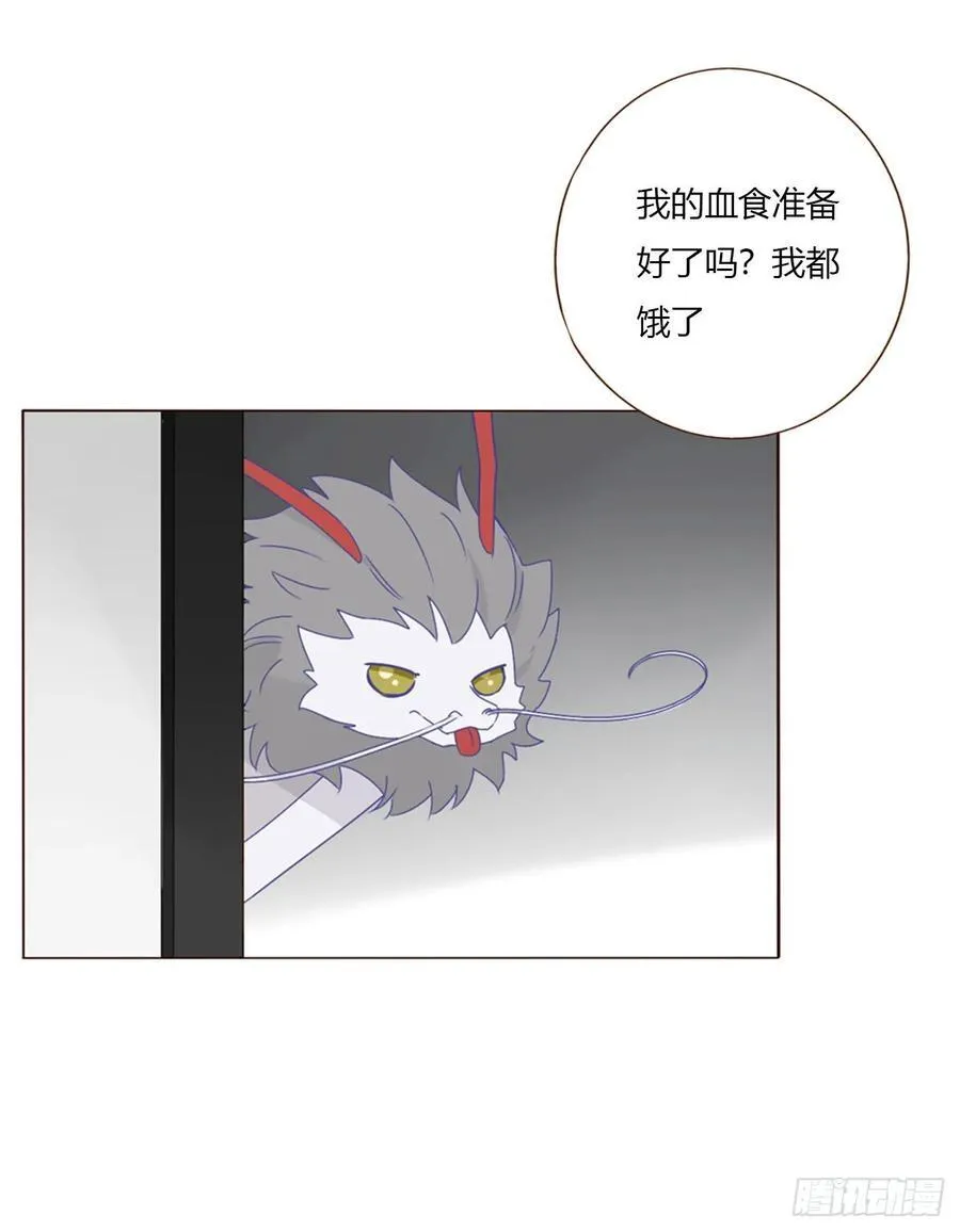 一五三章 尾指骨37