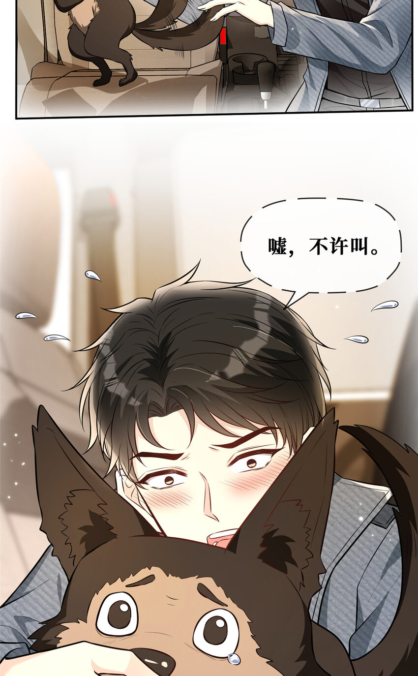 73狗子的助攻26