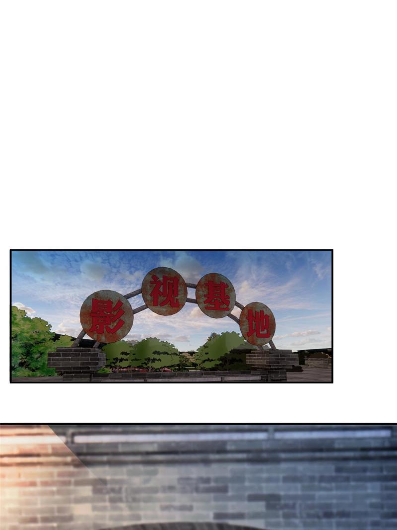 48 两朵桃花10
