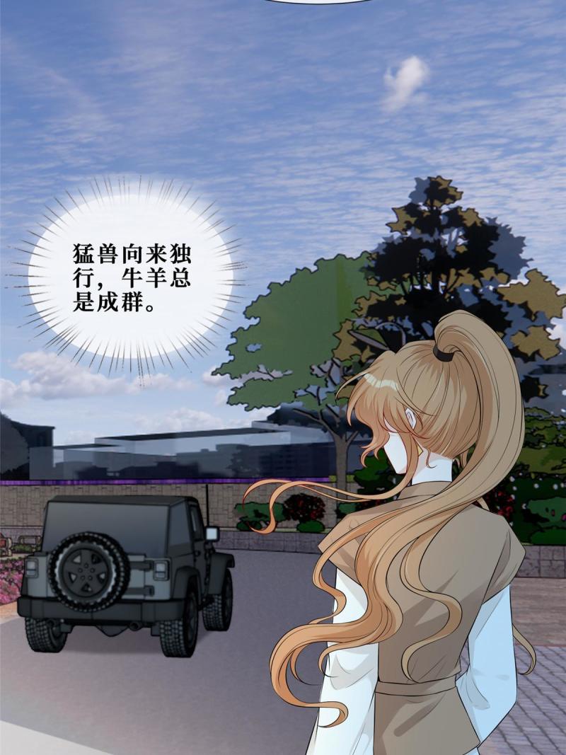 48 两朵桃花5