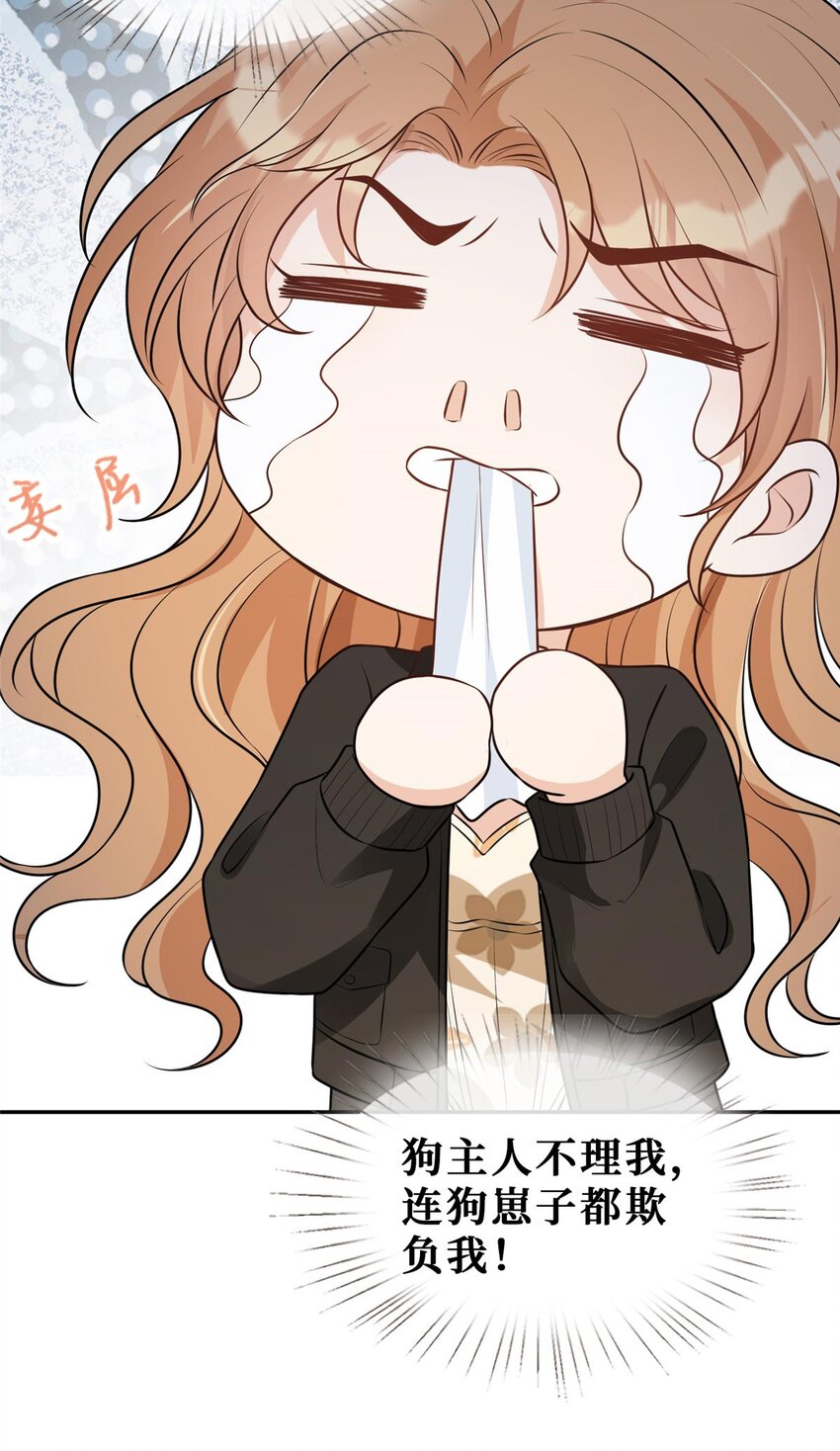 57 菜狗互啄20