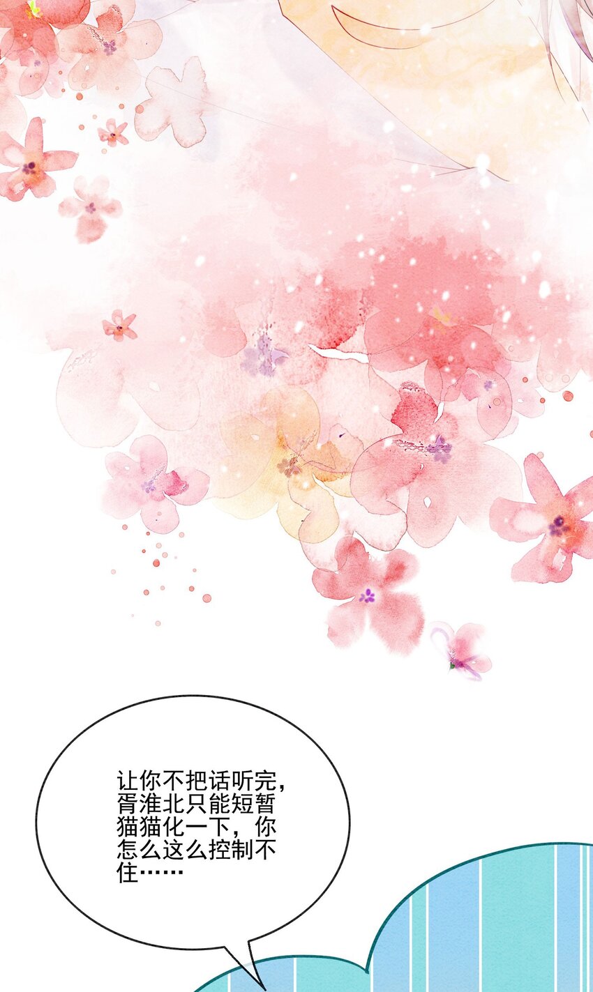 番外 如果胥淮北变成了猫猫9