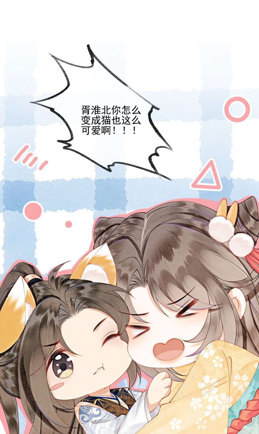 番外 如果胥淮北变成了猫猫5