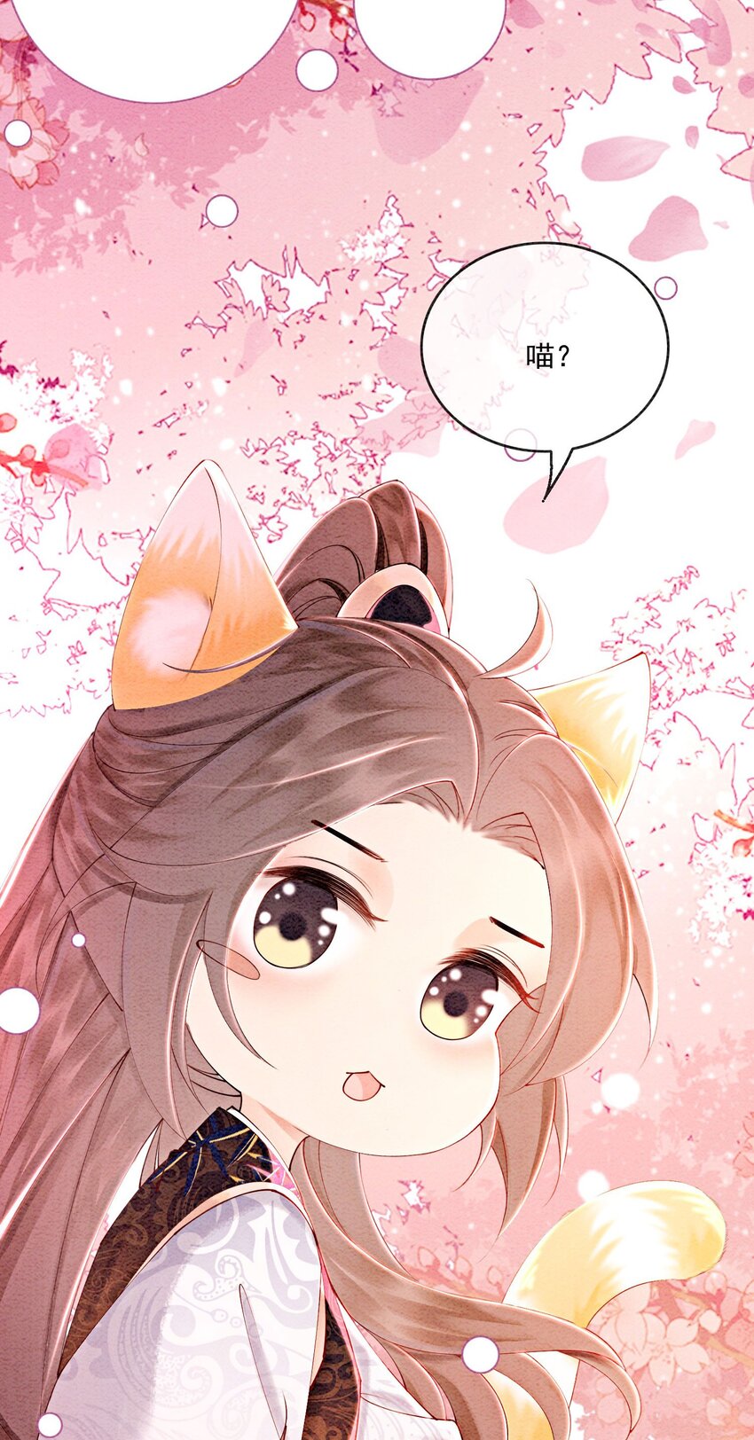 番外 如果胥淮北变成了猫猫3
