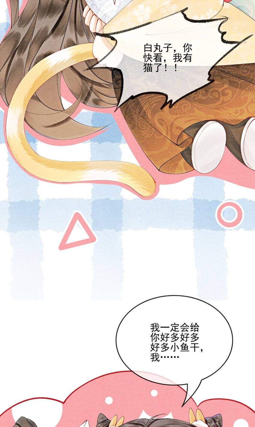 番外 如果胥淮北变成了猫猫6