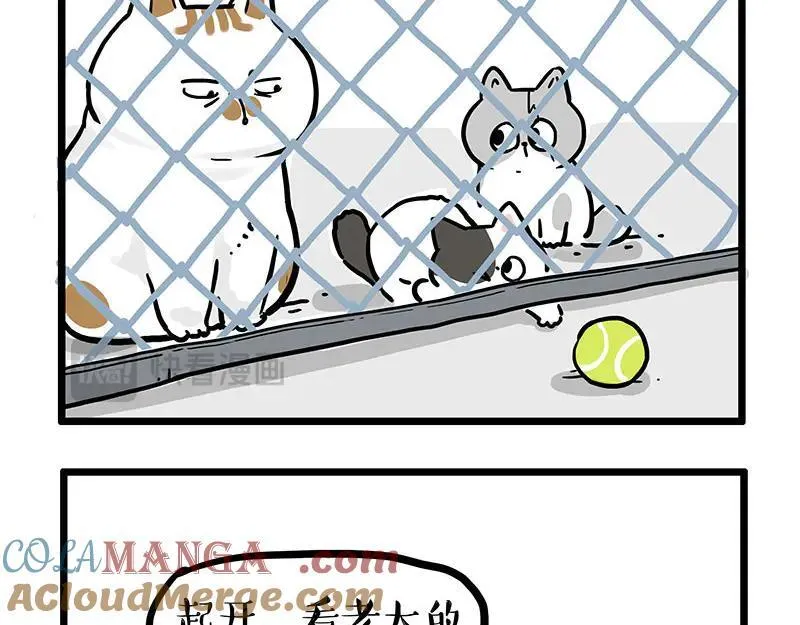 第439话 老大倒下了！4