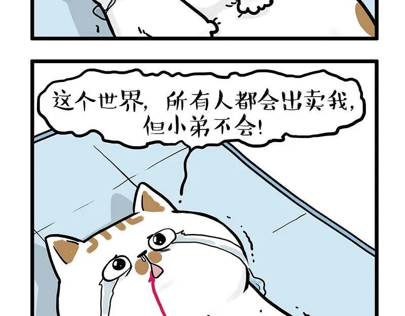 第441话 不要出卖老大！17