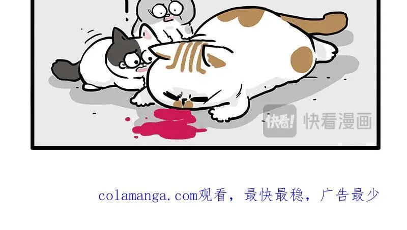 第439话 老大倒下了！31