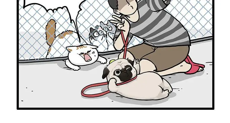 第439话 老大倒下了！21