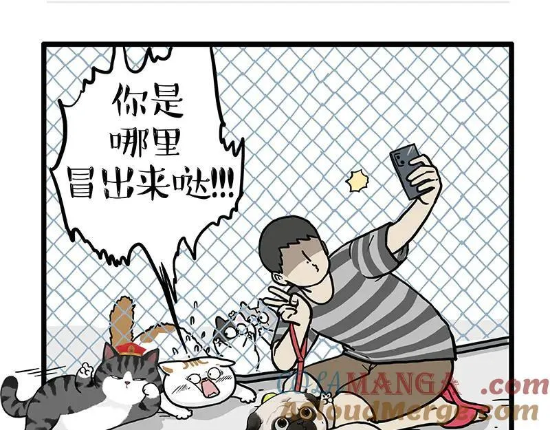 第439话 老大倒下了！22