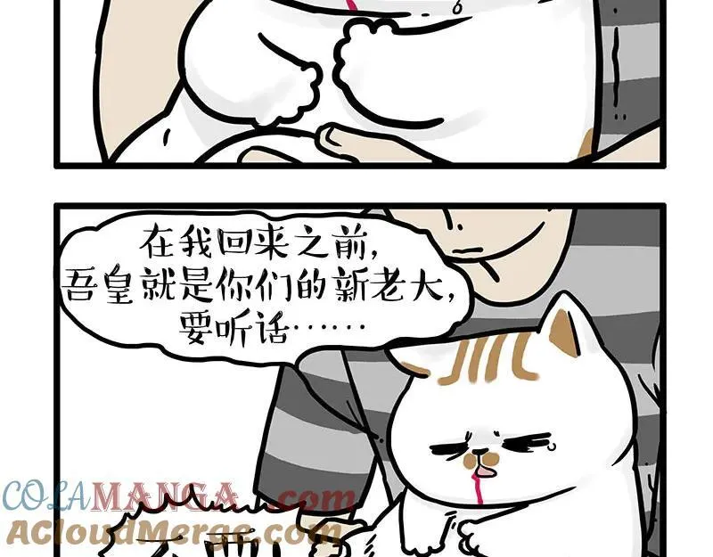 第440话 不要开这种玩笑10