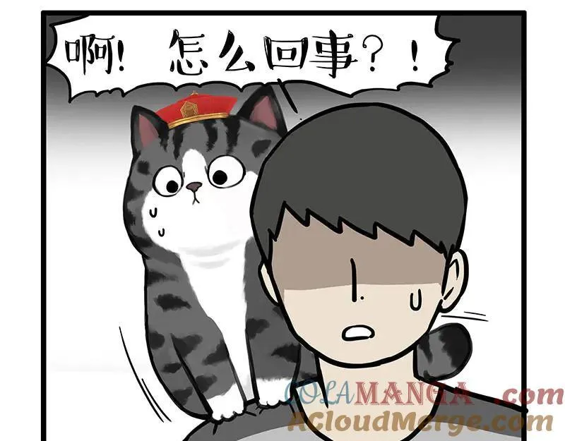 第439话 老大倒下了！28