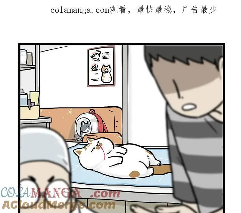 第441话 不要出卖老大！0