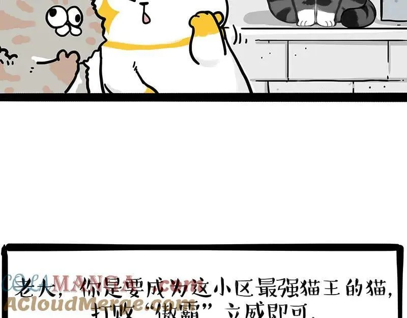 第442话 逆风的挑战24
