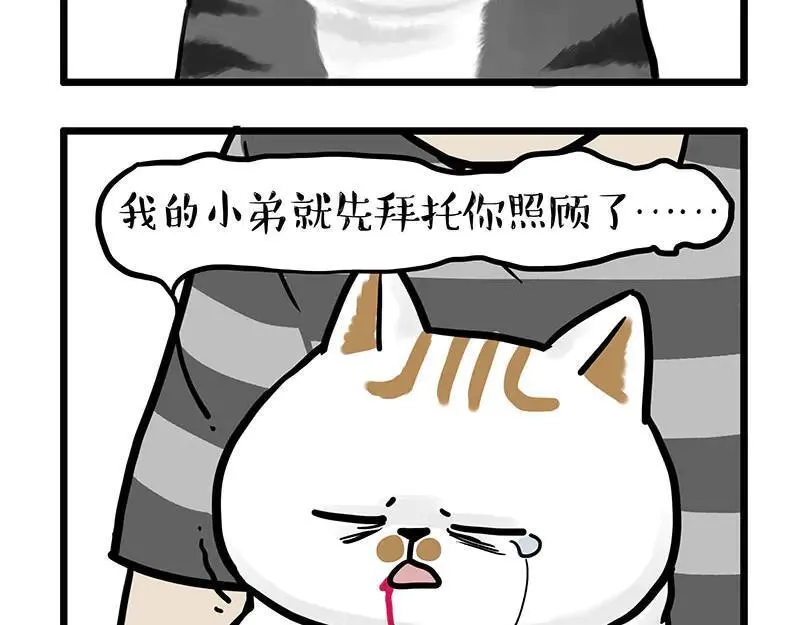 第440话 不要开这种玩笑9