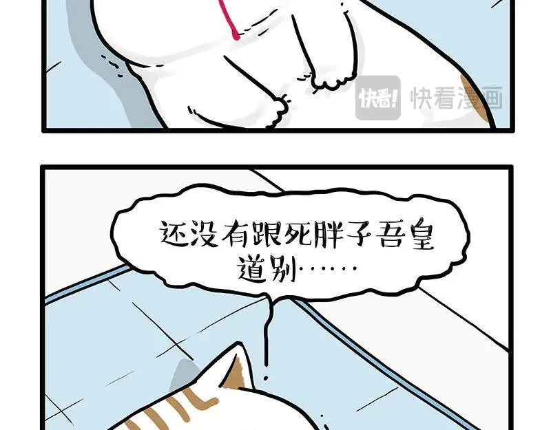 第441话 不要出卖老大！13