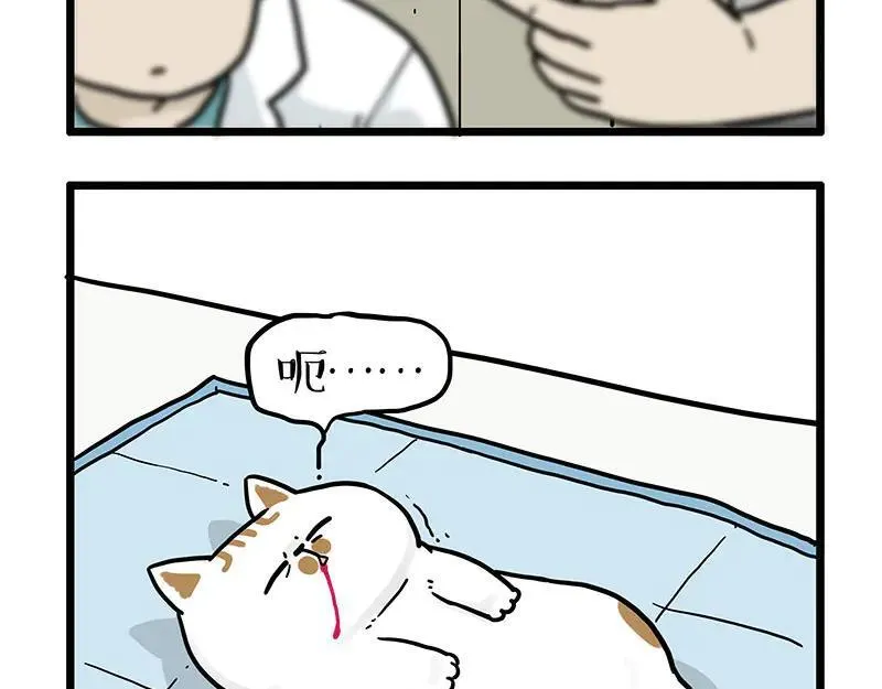 第441话 不要出卖老大！1