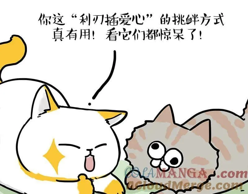 第442话 逆风的挑战16
