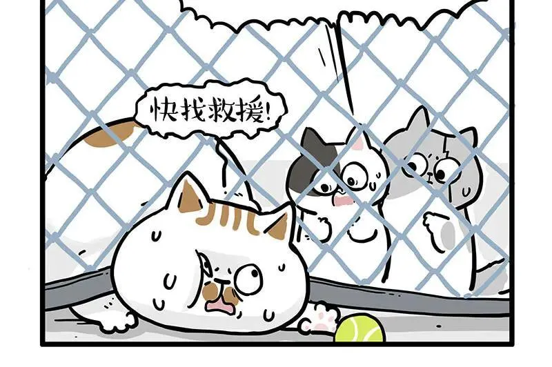 第439话 老大倒下了！11