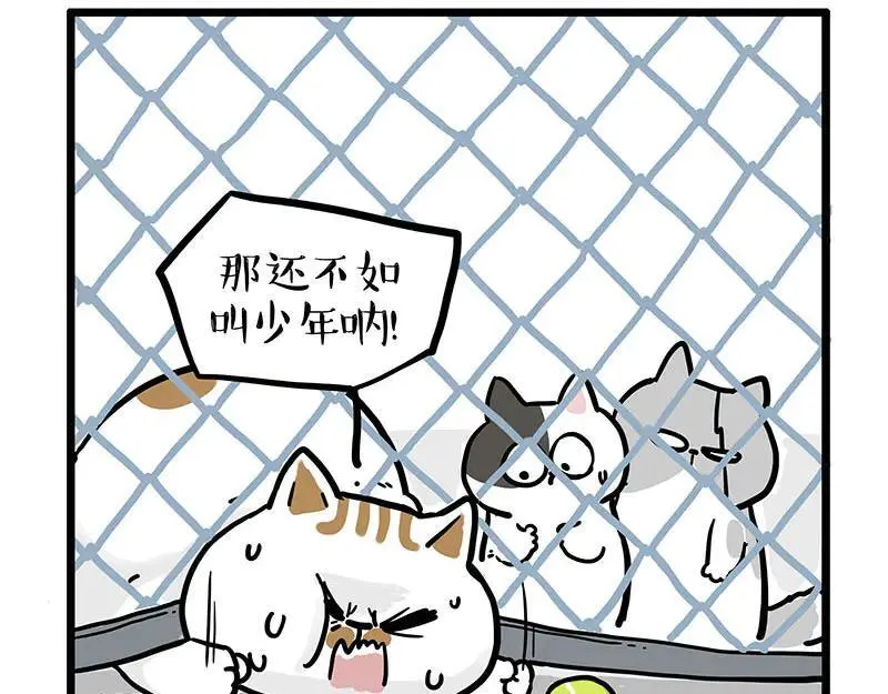 第439话 老大倒下了！17