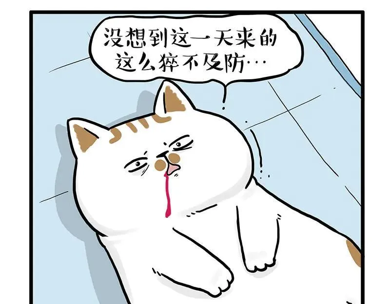 第441话 不要出卖老大！5