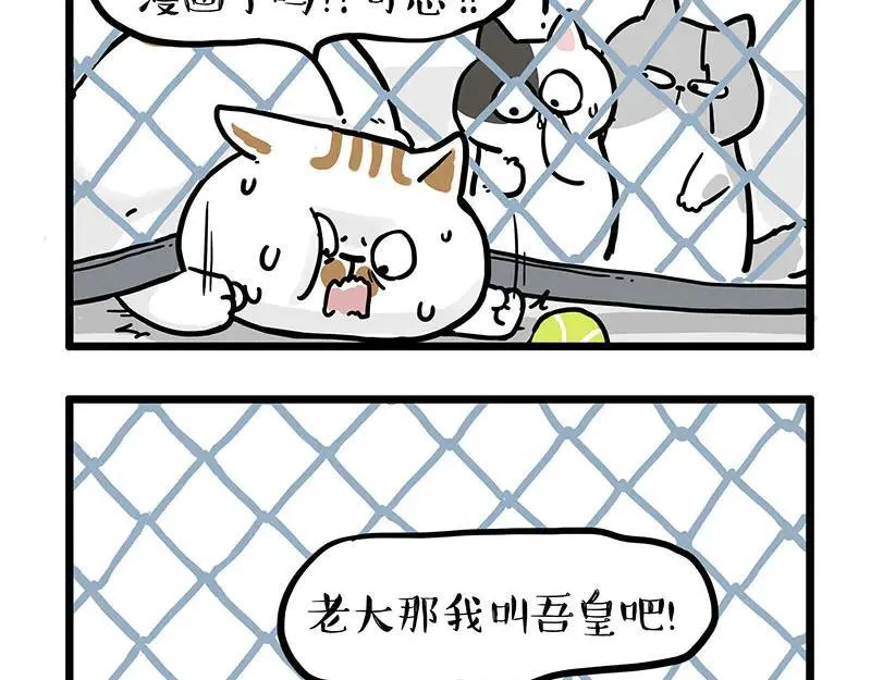 第439话 老大倒下了！15
