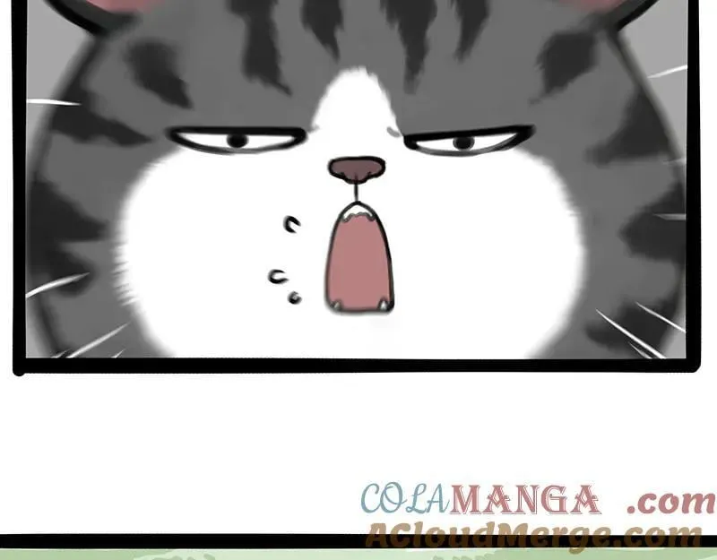 第442话 逆风的挑战40