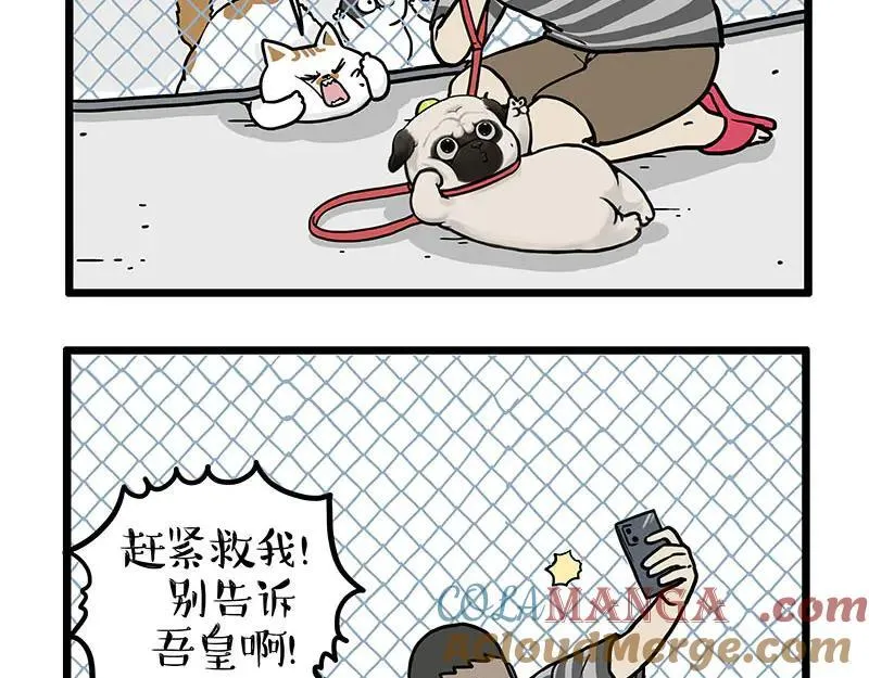 第439话 老大倒下了！20