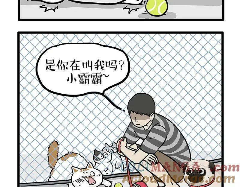 第439话 老大倒下了！18