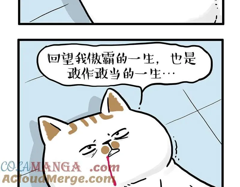 第441话 不要出卖老大！6