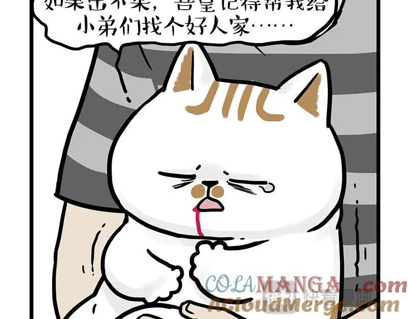 第440话 不要开这种玩笑6