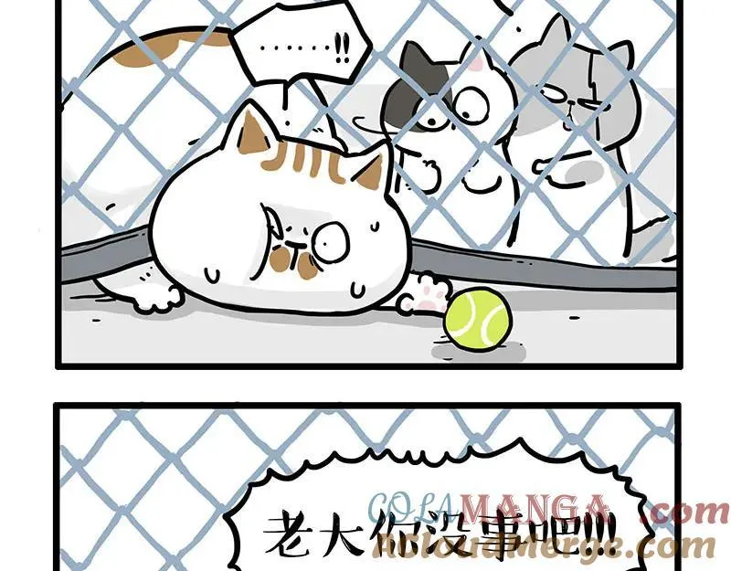 第439话 老大倒下了！10