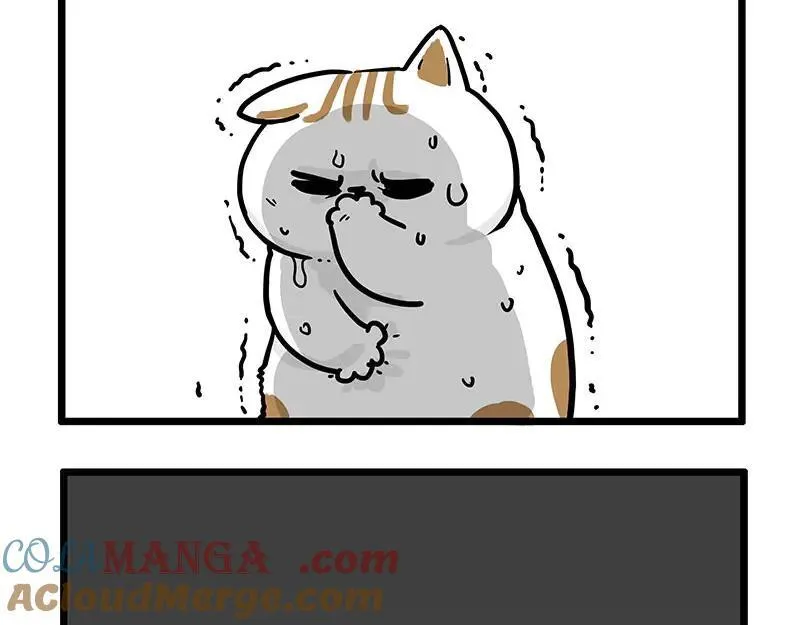 第439话 老大倒下了！26