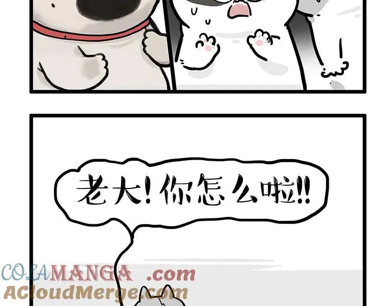 第439话 老大倒下了！30