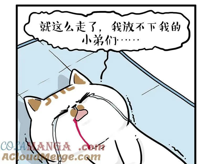 第441话 不要出卖老大！16