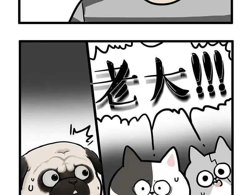 第439话 老大倒下了！29