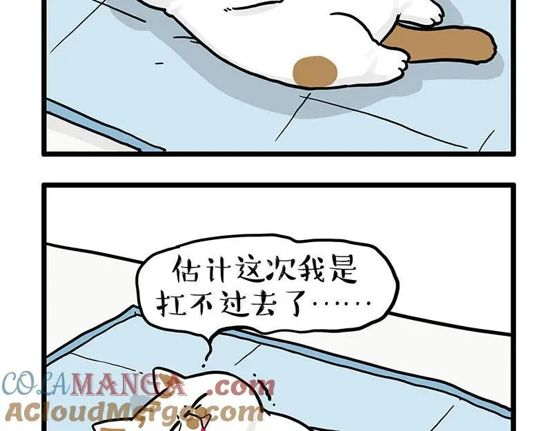 第441话 不要出卖老大！2